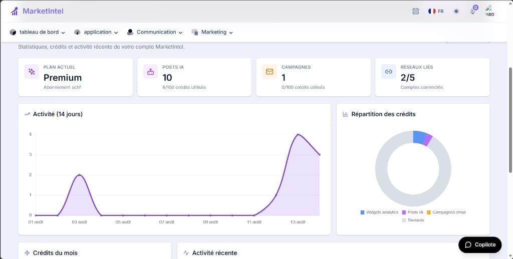 MarketIntel dashboard showing credits, activity, and account statistics